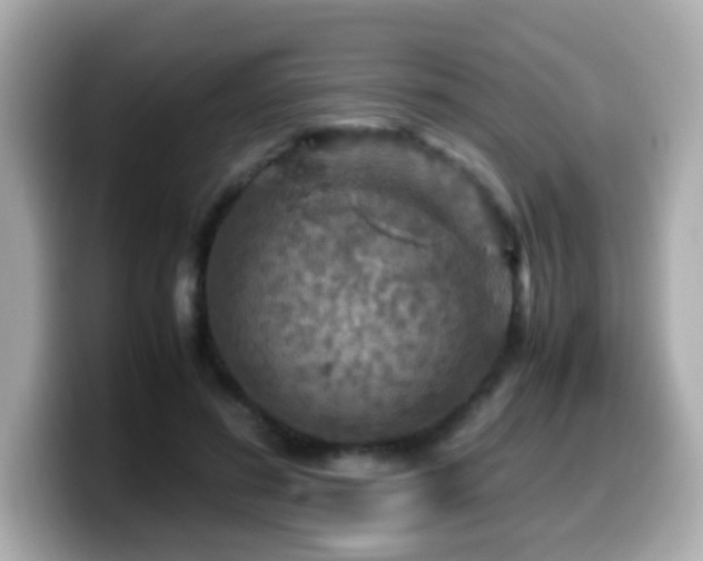 X0000099990596200805231454