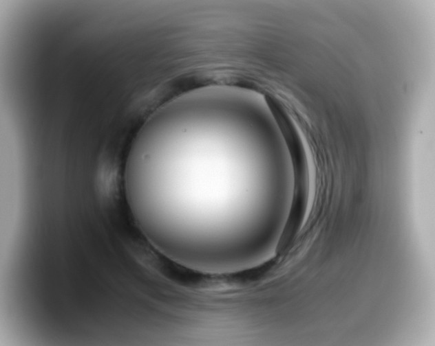 X0000099990597200805231454