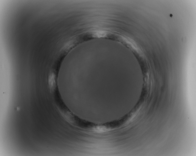 X0000099990598200805231454