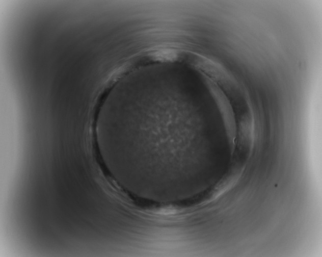 X0000099990600200805231454