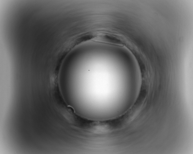 X0000099990601200805231454
