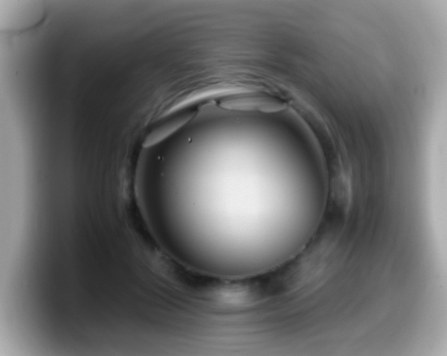 X0000099990604200805231454