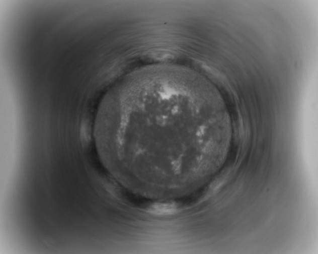 X0000099990606200805231454