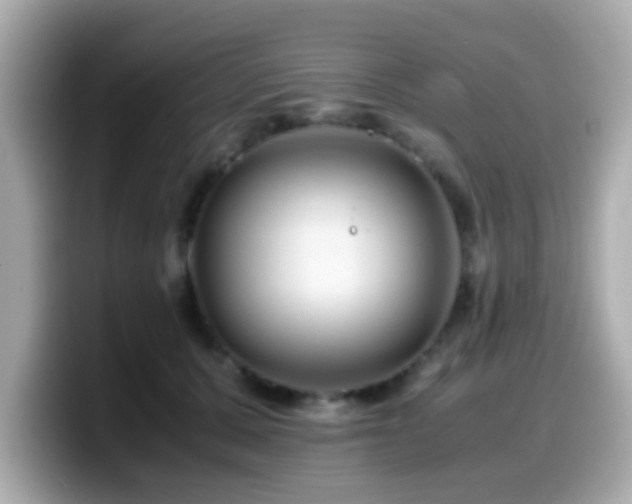 X0000099990607200805231454
