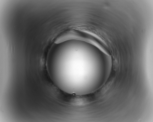 X0000099990608200805231454