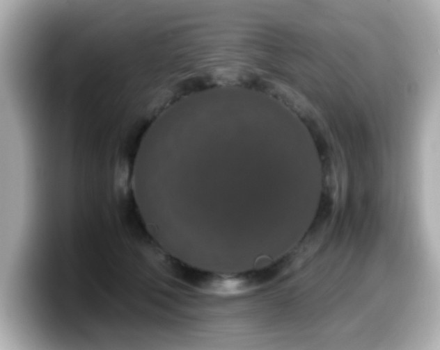 X0000099990610200805231454