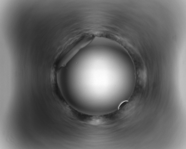 X0000099990612200805231454