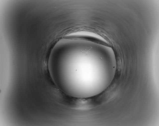 X0000099990613200805231454
