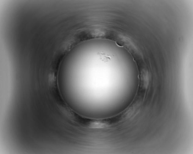 X0000099990614200805231454