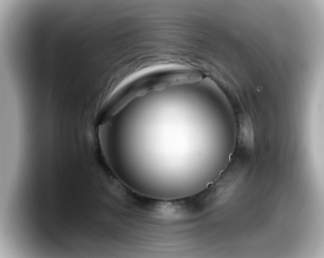 X0000099990616200805231454