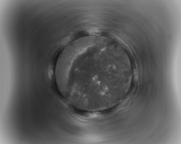 X0000099990618200805231454