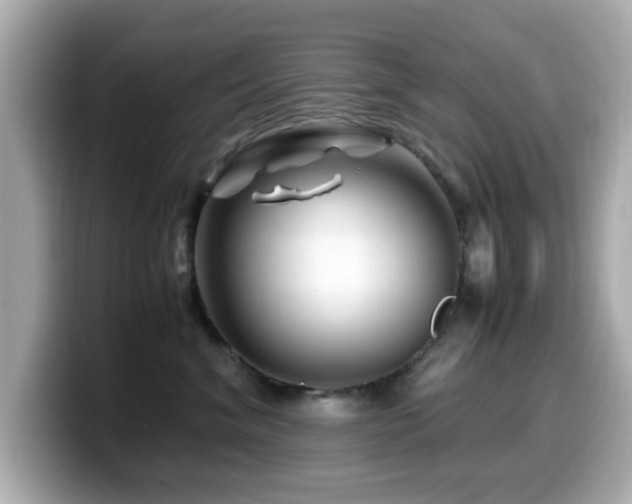 X0000099990620200805231454