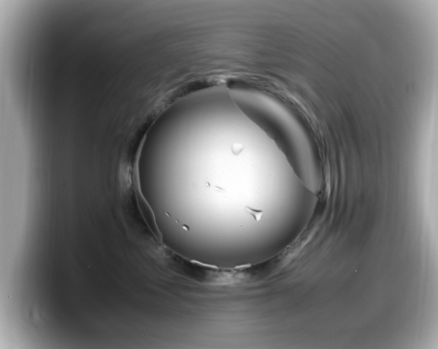 X0000099990621200805231454
