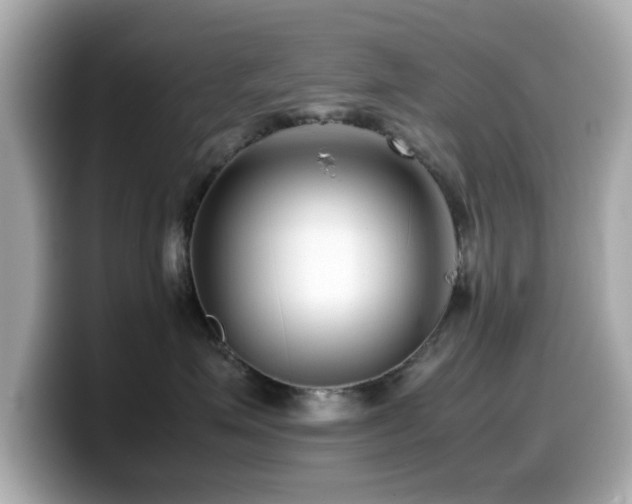 X0000099990623200805231454