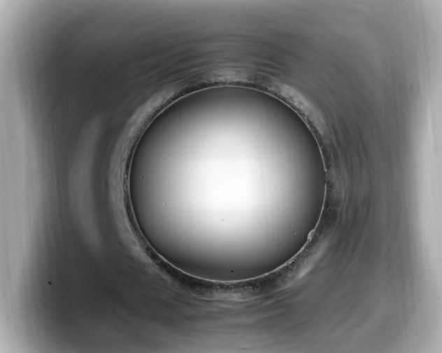X0000099990625200805231453