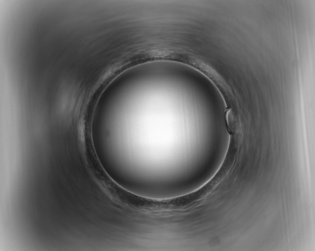 X0000099990626200805231453