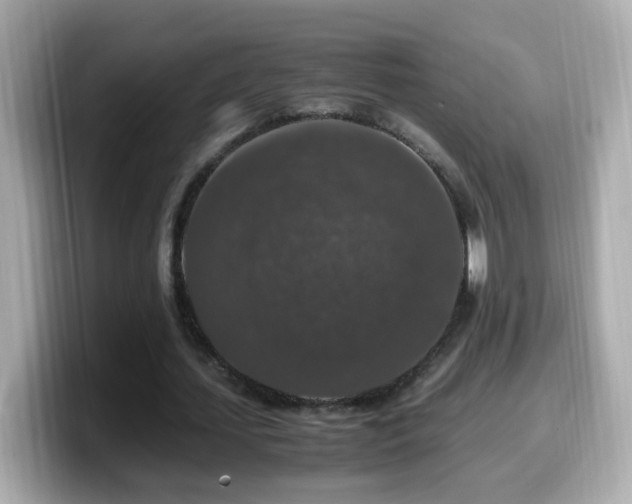 X0000099990627200805231453