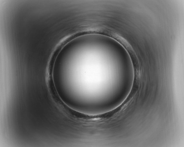 X0000099990628200805231453