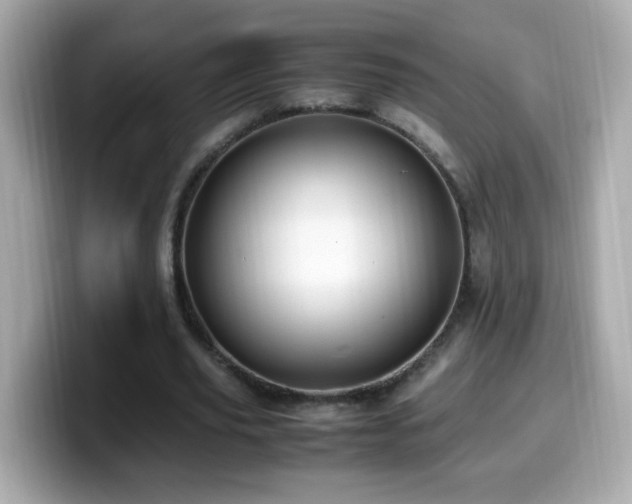 X0000099990629200805231453