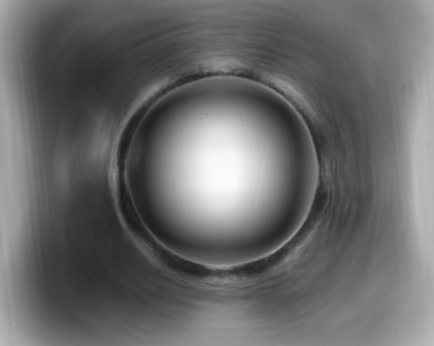 X0000099990630200805231453