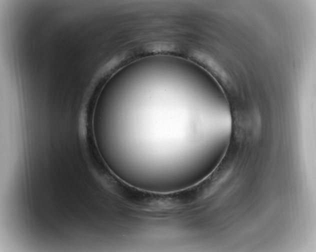 X0000099990631200805231453