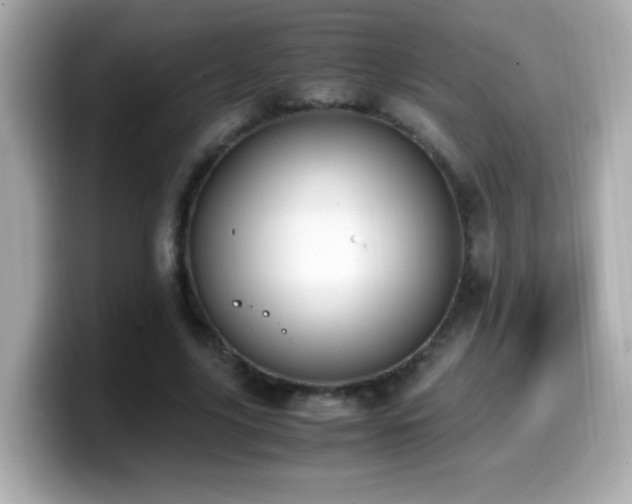 X0000099990635200805231453