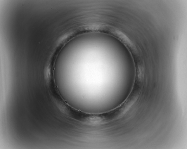 X0000099990636200805231453