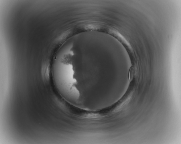 X0000099990637200805231453