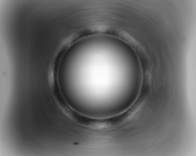 X0000099990638200805231453