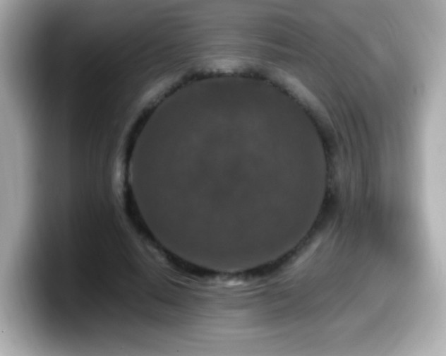 X0000099990640200805231453