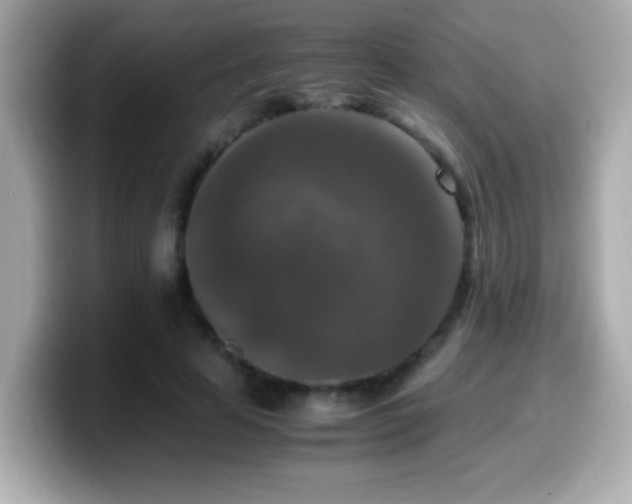 X0000099990641200805231453