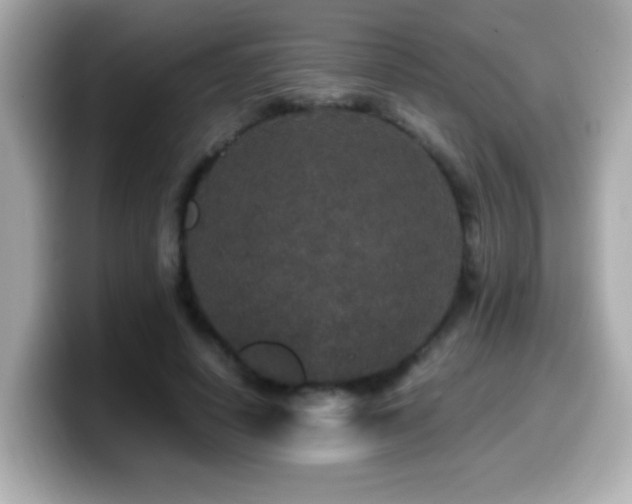 X0000099990642200805231453