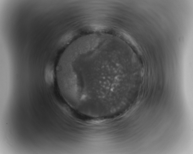 X0000099990644200805231453