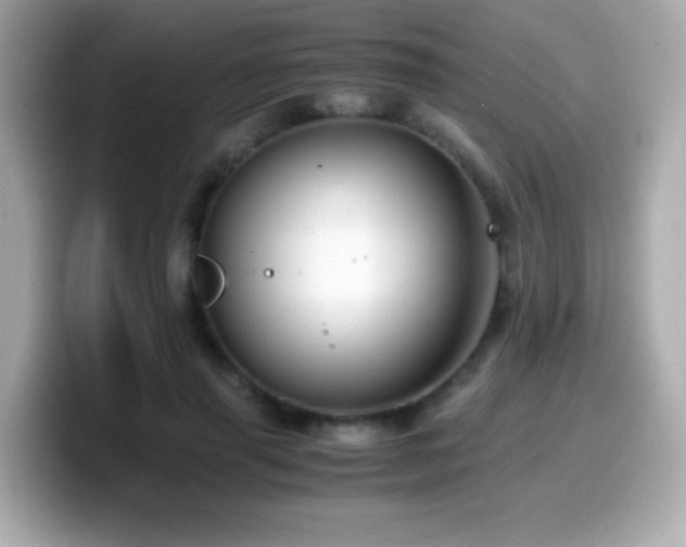 X0000099990645200805231453