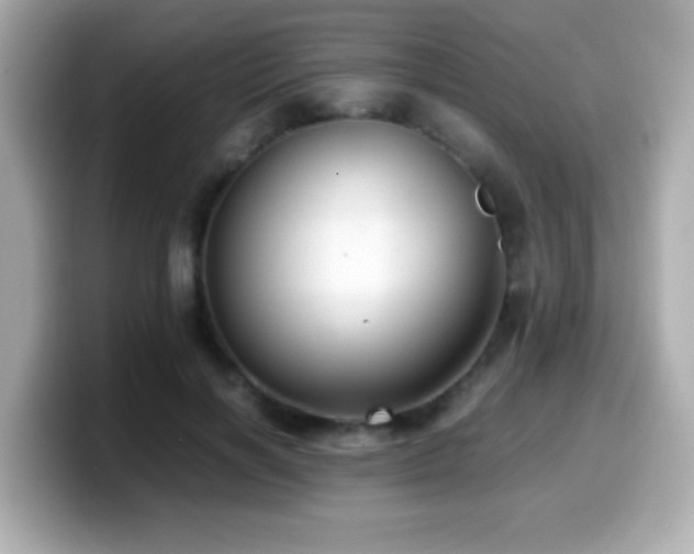 X0000099990646200805231453