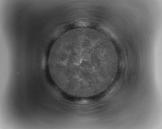 X0000099990647200805231453