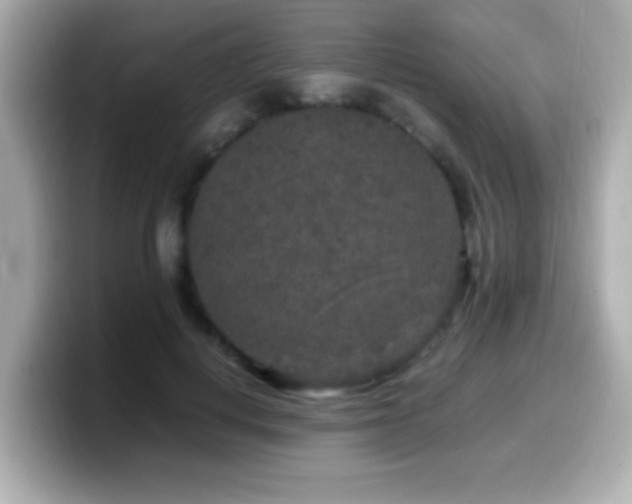 X0000099990648200805231453