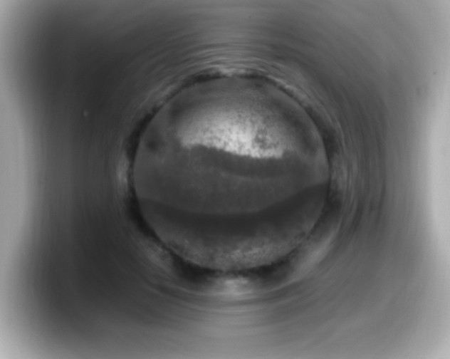 X0000099990650200805231453