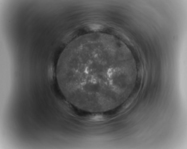 X0000099990651200805231453