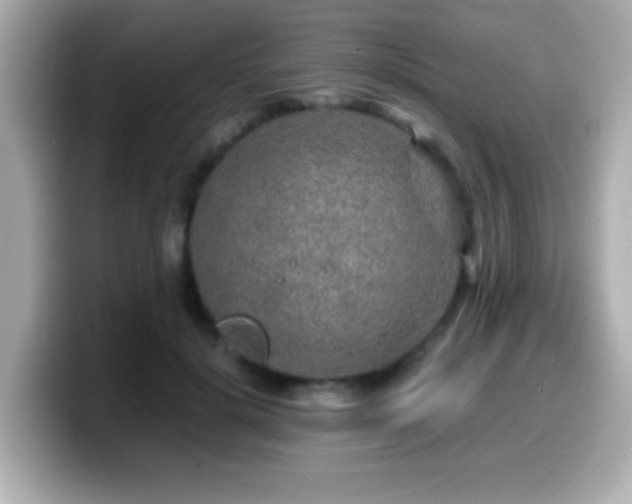 X0000099990652200805231453