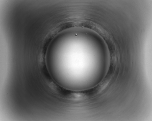 X0000099990654200805231453