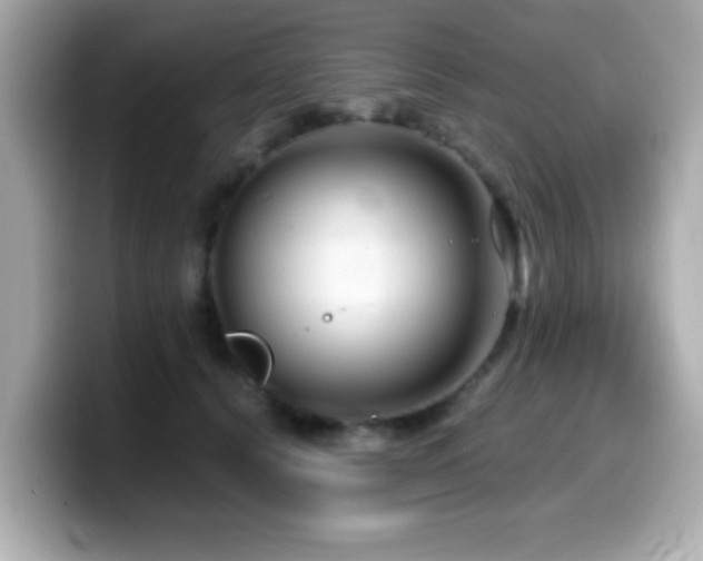 X0000099990656200805231453