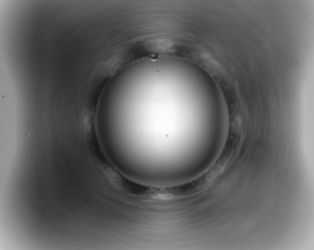 X0000099990658200805231453