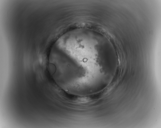 X0000099990659200805231453