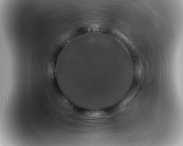 X0000099990661200805231453