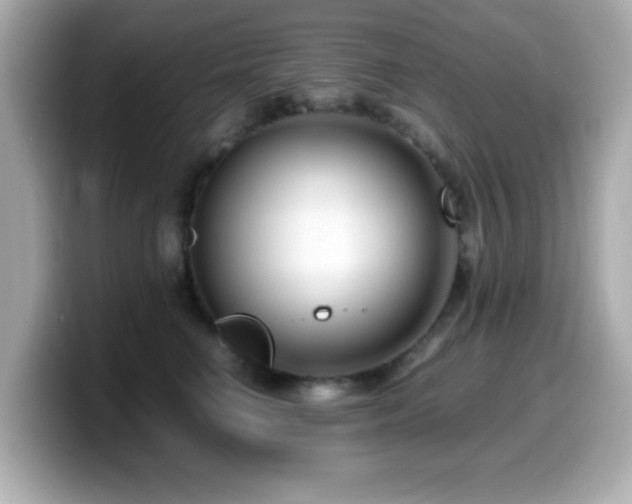 X0000099990662200805231453