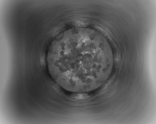 X0000099990663200805231453
