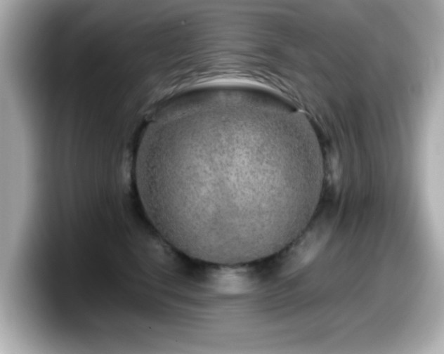 X0000099990664200805231453