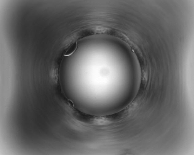 X0000099990666200805231453