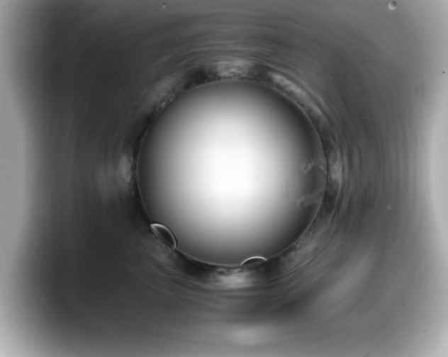 X0000099990667200805231453